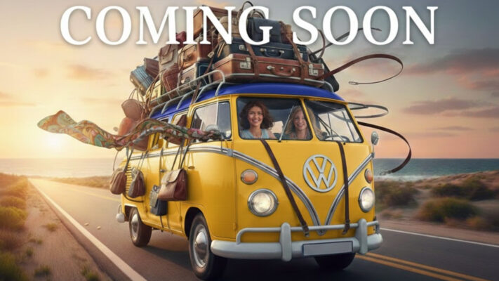 coming soon unique hand bags